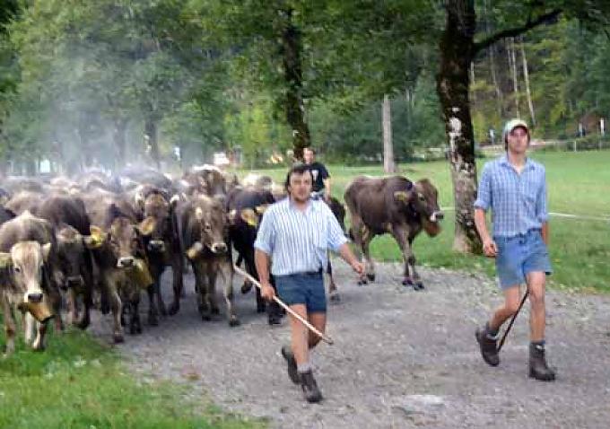 Nicht ohne Oberalpmeister Nicht ohne Oberalpmeister