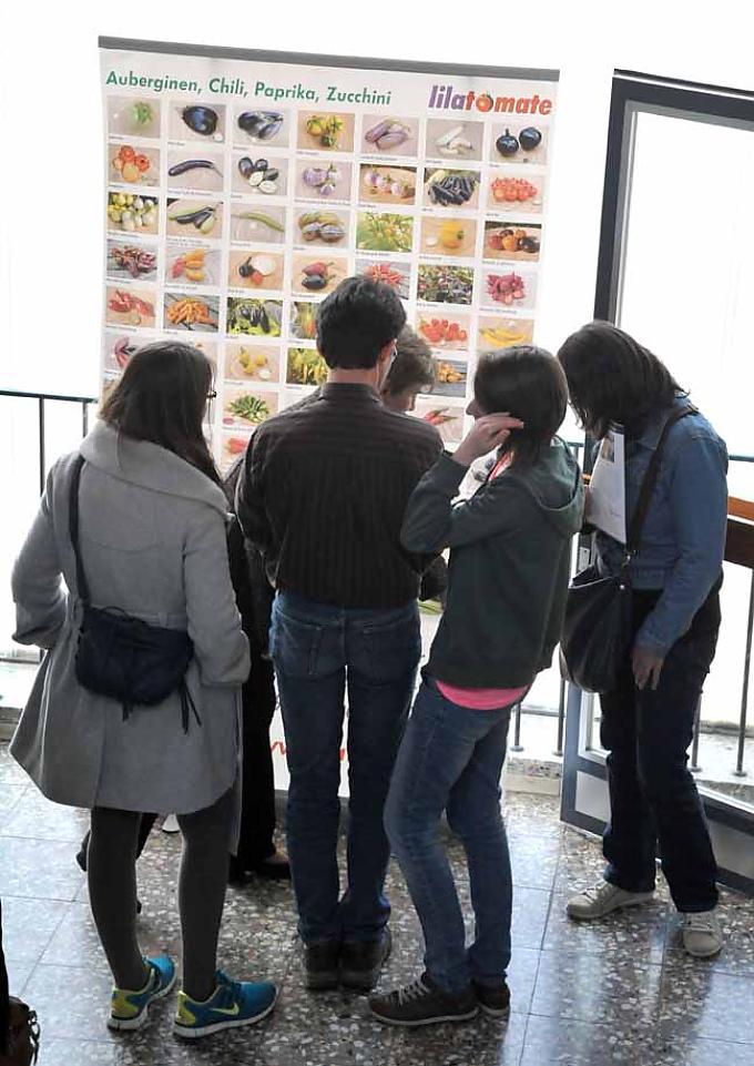 Besucher stehen vor einer Schautafel Besucher stehen vor einer Schautafel