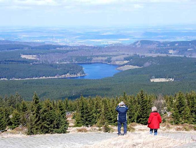 Schon fast auf dem Brocken - Blick zurück Luchse im Haus der Natur, Bad Harzburg