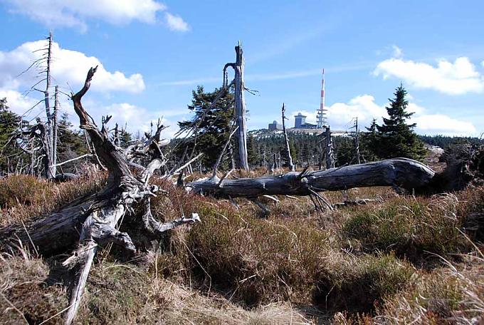 Blick aufs Brockenplateau Blick aufs Brockenplateau