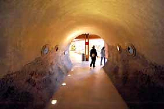 Tunnel zum Freigehege Tunnel zum Freigehege