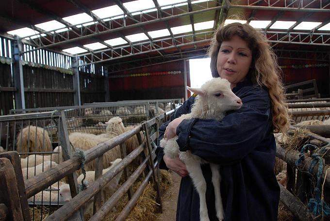 Pumpernickel bei Heinrich II. Pumpernickel bei Heinrich II.