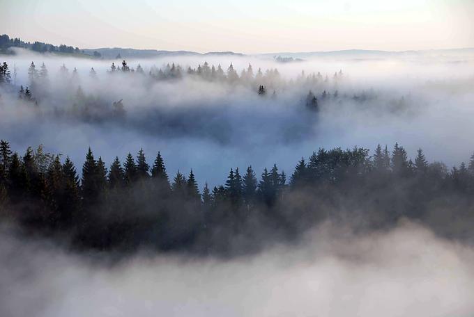 Blick aufs Oberallgäu am frühen Morgen Wandern von Oberdorf nach Gopprechts