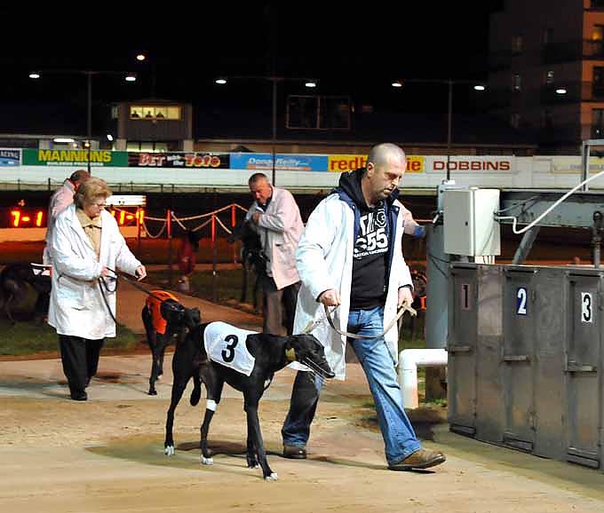 Jagd auf den falschen Hasen Jagd auf den falschen Hasen