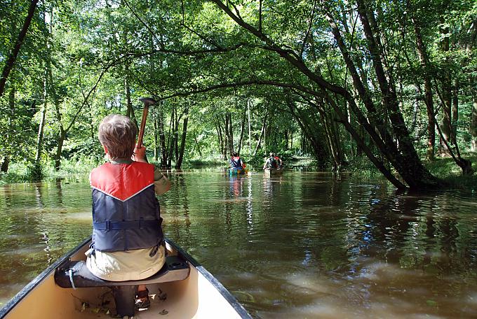 Kraniche am Grenzfluss Kraniche am Grenzfluss