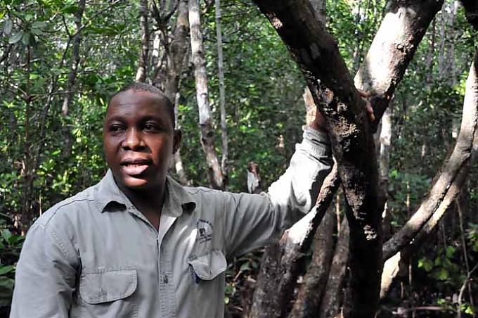 Gemeinsam gegen das Waldsterben Gemeinsam gegen das Waldsterben
