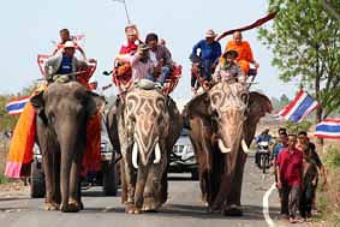 WG mit Elefant WG mit Elefant