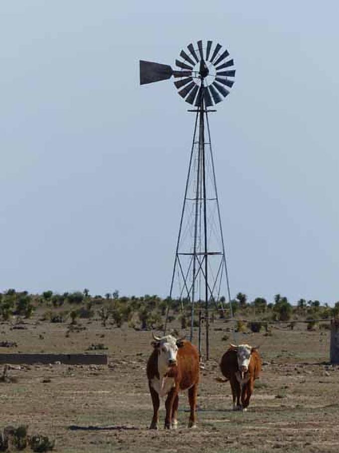 Wasserpumpe auf texanischer Viehweide Texanische Landschaft im Big Bend