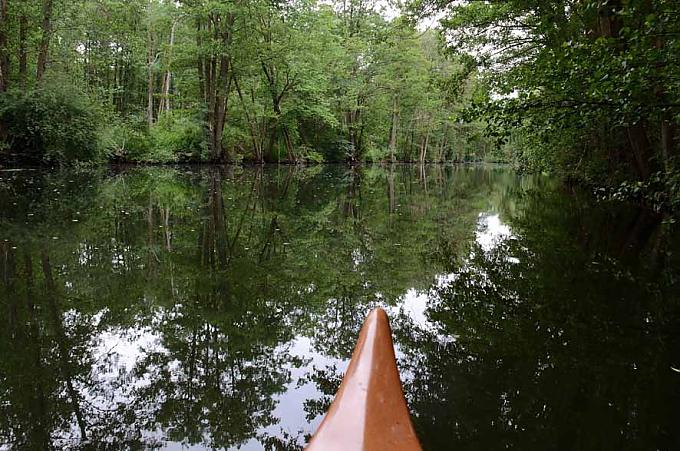 Erlenwälder prägen das Ostufer, das einst die Grenze zur DDR war. Erlenwälder prägen das Ostufer, das einst die Grenze zur DDR war.