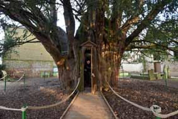 Dem Himmel nahe Dem Himmel nahe