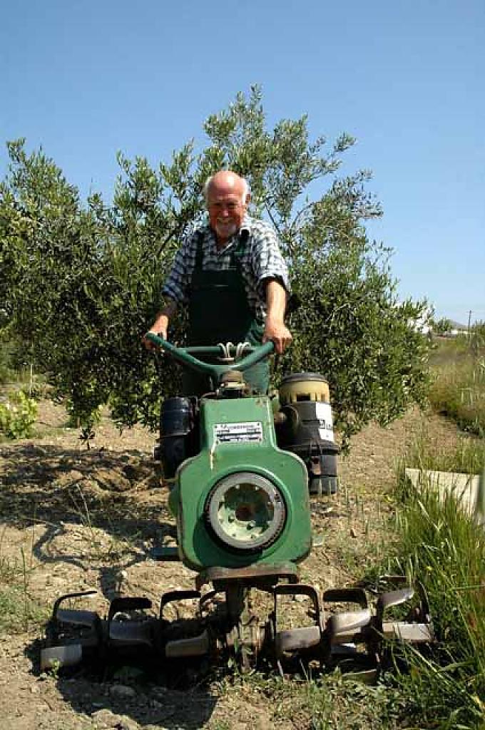 Gerhard in seinem Weinberg auf Paros