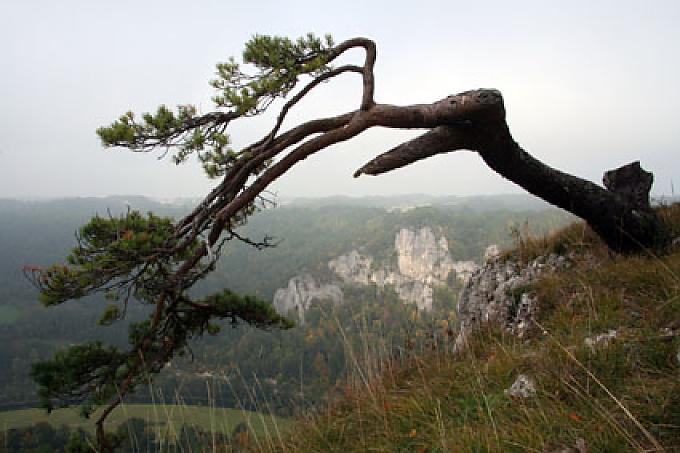 Schroffe Felsvorsprünge mit Blick ins Tal Kloster Beuron
