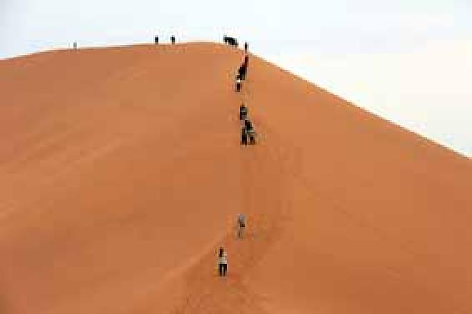 Touristen in der Wüste.