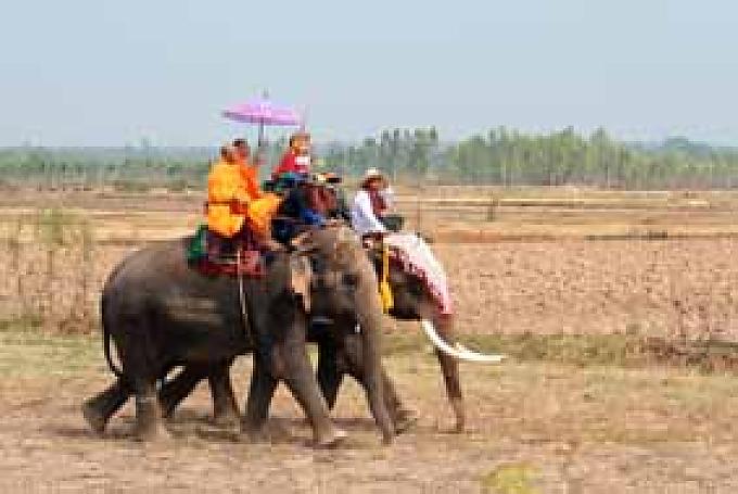 Baan Tha Klang, Elefantendorf in der Provinz Surin. Bevor junge Männer in den Wat Chaeng Sawang, den einzigen Tempel des Ortes, aufgenommen werden, reiten sie auf bemalten Elefanten zum Moon-Fluss. 
