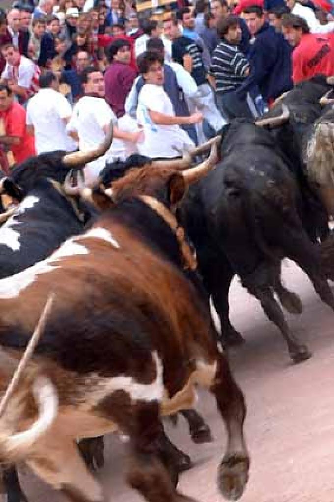 Stierlauf Prozession mit Heiligen