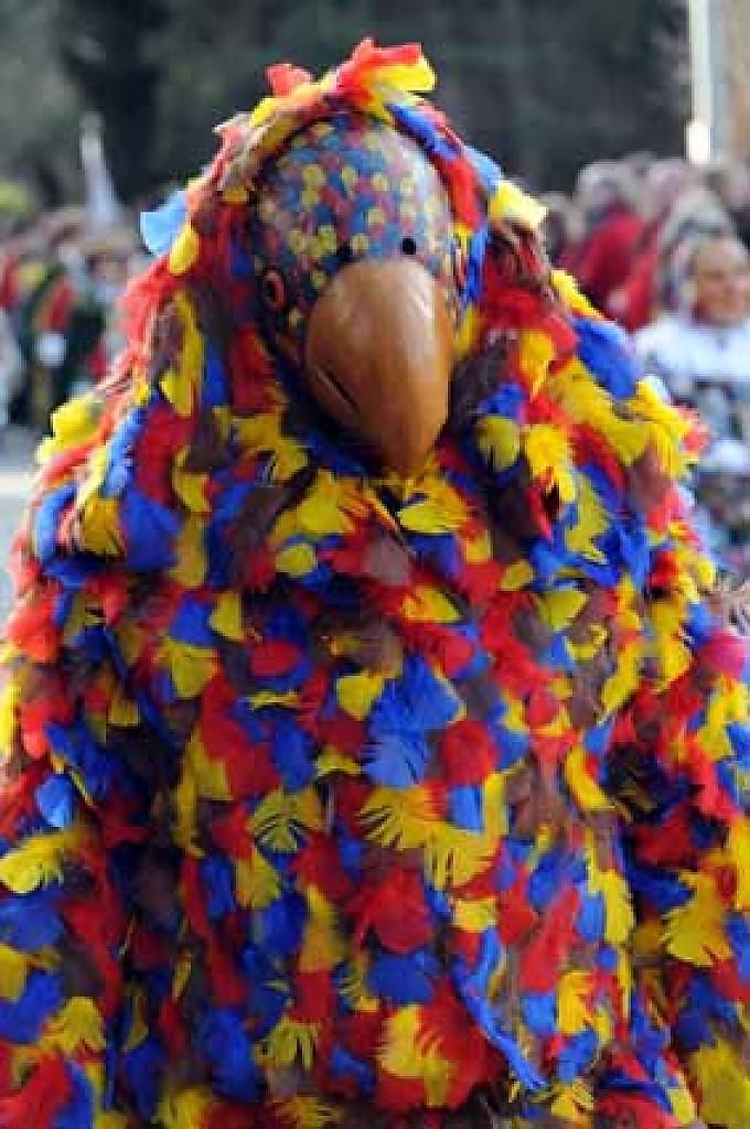 Federeschnabel heißt dieser bunte Geselle in der Fastnacht in Triberg. Federeschnabel heißt dieser bunte Geselle in der Fastnacht in Triberg.