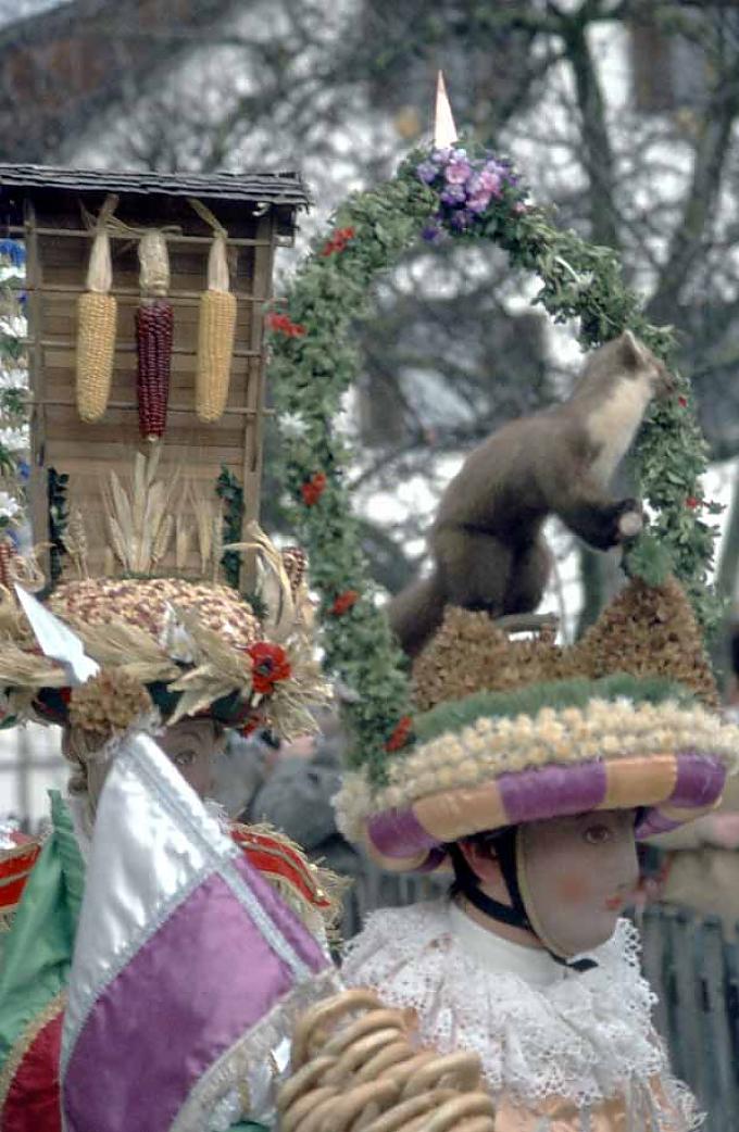 Schleicherlauf Schleicherlauf