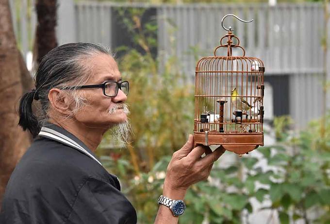 Lee kommt jeden Tag mit seinem Japanbrillenvogel auf den Markt.  Lee kommt jeden Tag mit seinem Japanbrillenvogel auf den Markt.
