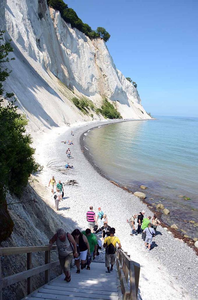 Fossilien sammeln  Fossilien sammeln