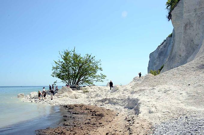 Fossiliensammler am Strand  Fossiliensammler am Strand