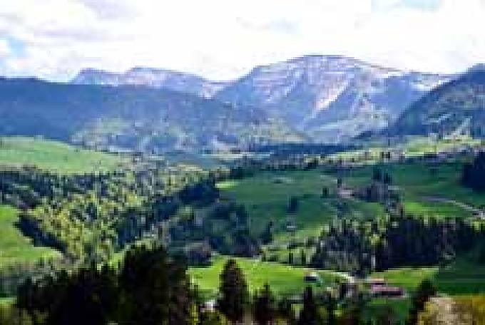 Schrothkur: Einstieg in ein gesünderes Leben Schrothkur: Einstieg in ein gesünderes Leben