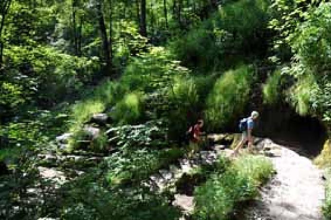 Aufstieg zur Riffkante Der Wanderweg führt durch Wiesen und Wälder
