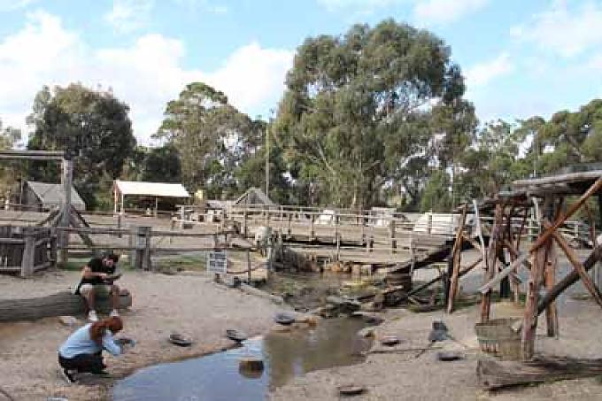 Goldsucher Goldsucher