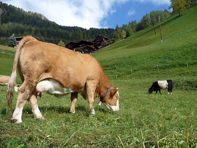 Almglück Karl Klinar