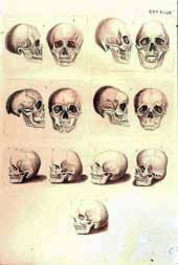 Johann Caspar Lavater "Von der Physiognomik" Johann Caspar Lavater "Von der Physiognomik"