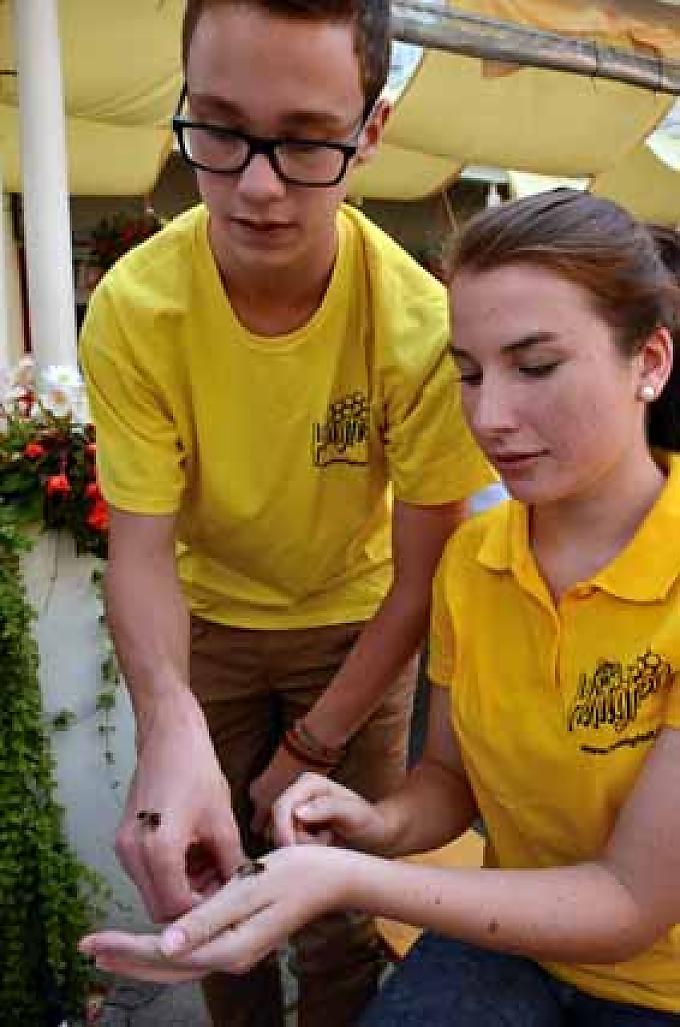 Honigfest Hermagor: Bei den Gitschtaler Imkern darf man Drohnen streicheln Honigfest Hermagor: Bei den Gitschtaler Imkern darf man Drohnen streicheln