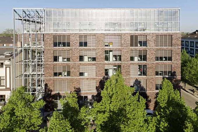 Gemüse frisch vom Dach 