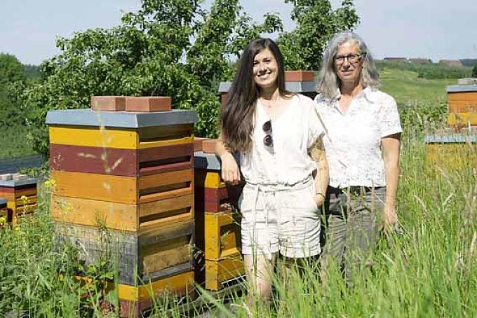 Bienenwachs statt Plastik 