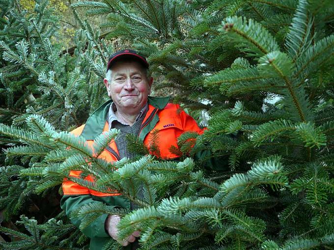 Von dicken Riesen und Königen des Waldes