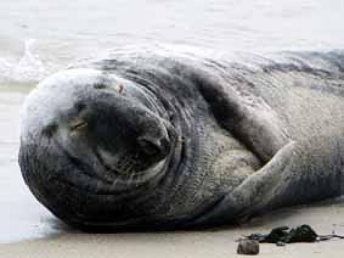 Unterwegs zur Langen Anna