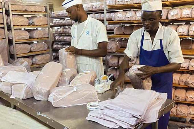 Die Saubermänner Afrikas 