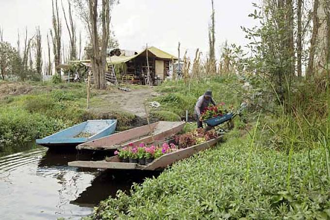 Das grüne Herz der Megacity 