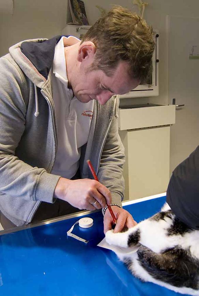  Markus van den Boom fertigt eine Zeichnung vom kranken Hinterlauf der Katze Filou an