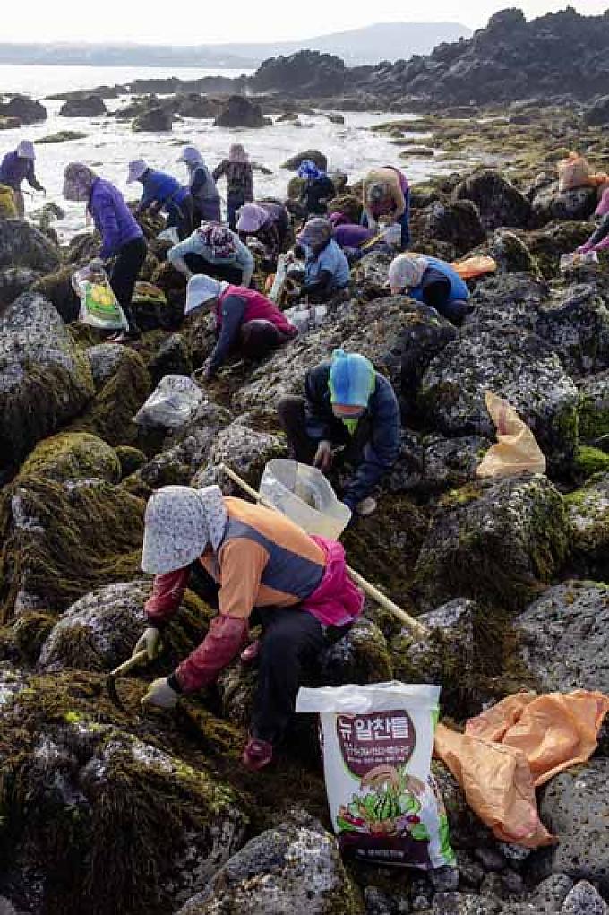 Taucherin Gwangja Jang (74)