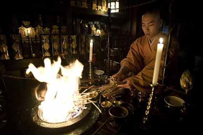 Mitten in der Lotusblüte 