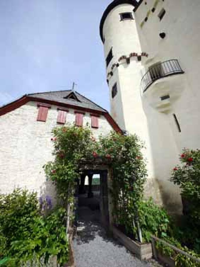 Kanone auf der Marksburg 