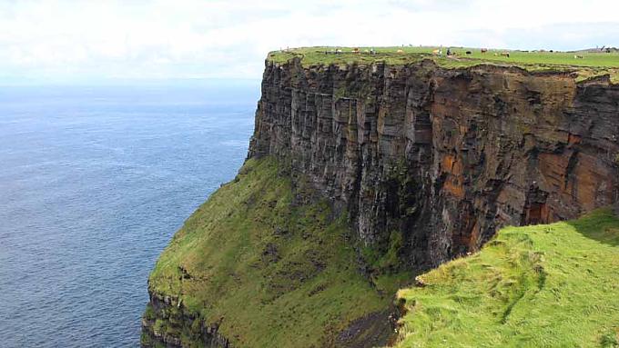 Superfood aus dem Meer 