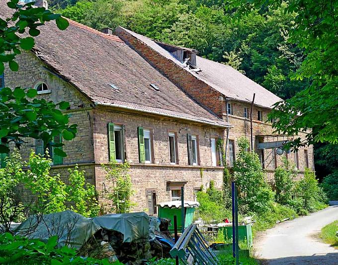 Wo die Fische vom Himmel fliegen