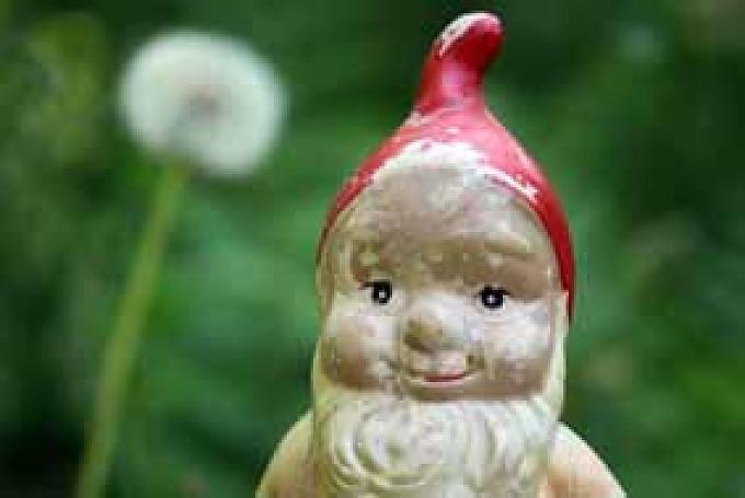 Kleiner Kerl mit viel Vergangenheit