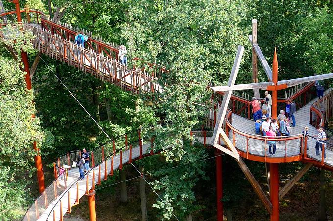 Äste, Zweige und Blätter mit langer Geschichte