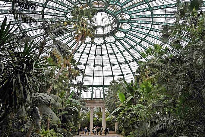 Stippvisite unter Brüssels Palmen
