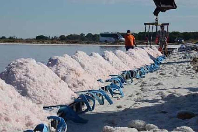 Geboren aus Sonne und Meer