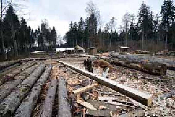 Balken werden mit der Axt bearbeitet.