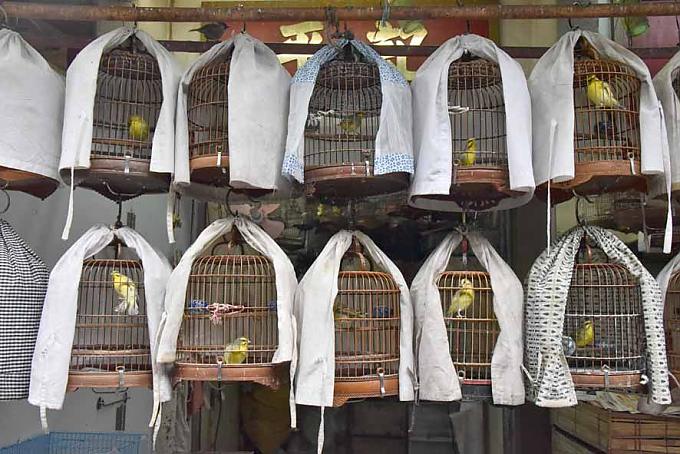 Komm Hansi, wir gehen mal an die frische Luft 