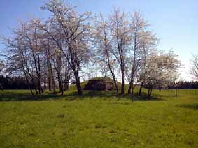 Grenzlandgeschichten