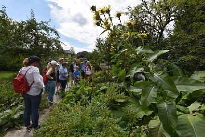 Mit der Kräuterhexe unterwegs